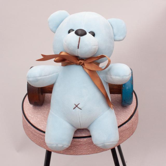 Blue Plush Teddy Bear